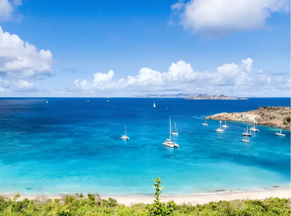 Interior_1_Blogs_In_f571863fa0