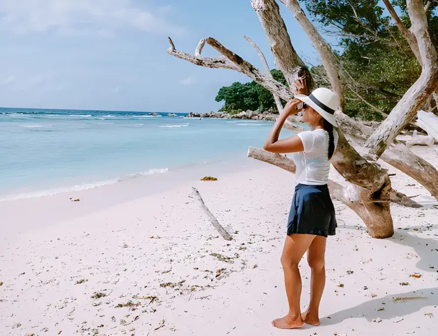 Interior_5_Blogs_In_15a56031c6