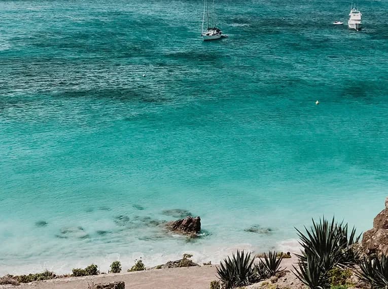 Middle_Image_1_9f0bf0d53a