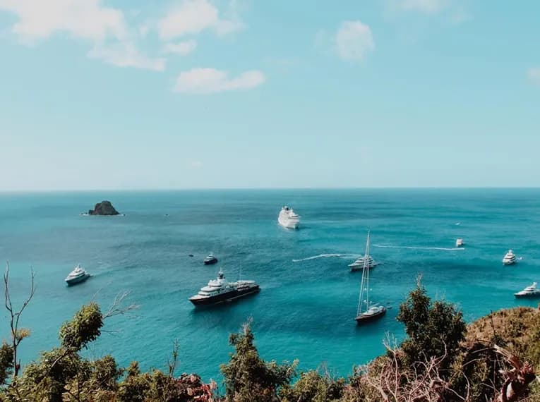 Top_Right_Image_1_d214496749